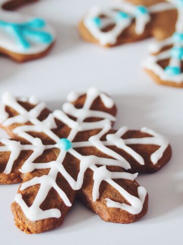 gingerbread snowflakes_hot for food